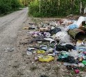 Поронайцы недовольны мусорными баками в лесу