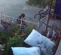 В Южно-Сахалинске дети украли лисичку и бабочку из чужого двора
