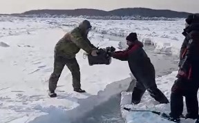 Происшествия