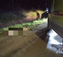 "Водитель был пьян": на Сахалине возбудили уголовное дело по факту смертельного ДТП