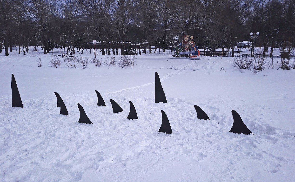 Инсталляция "Помогите косаткам вернуться в семью" появилась в городском парке Южно-Сахалинска