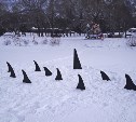 Инсталляция "Помогите косаткам вернуться в семью" появилась в городском парке Южно-Сахалинска