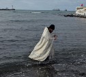 Крещение холмчане отметили, погружаясь в воды Татарского пролива