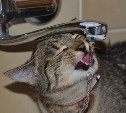 Холодную воду отключат в одном из районов Южно-Сахалинска 5 мая 