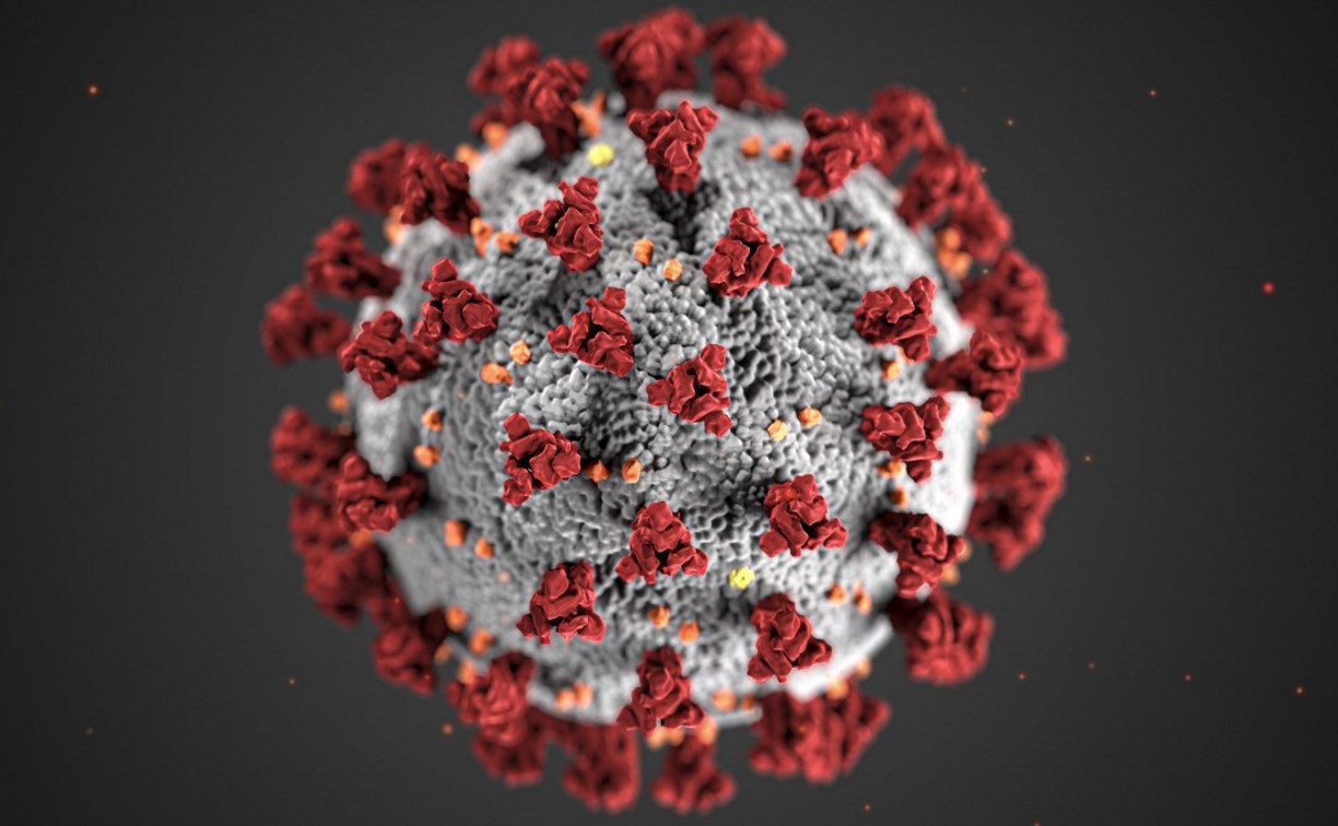 Ложно-положительный результат показал тест на коронавирус у жительницы Углегорска 