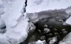 Происшествия