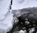 "Люди, выскакивайте": большая волна мгновенно разломала лед у Стародубского 