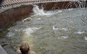 Общество