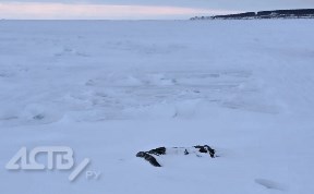 Происшествия