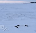 Очевидцы: рыбак замёрз насмерть на Сахалине