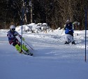 Сахалинская сборная по горнолыжному спорту намерена тренироваться в Томари