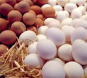 Дефицита яиц перед Пасхой сахалинцы не испытают