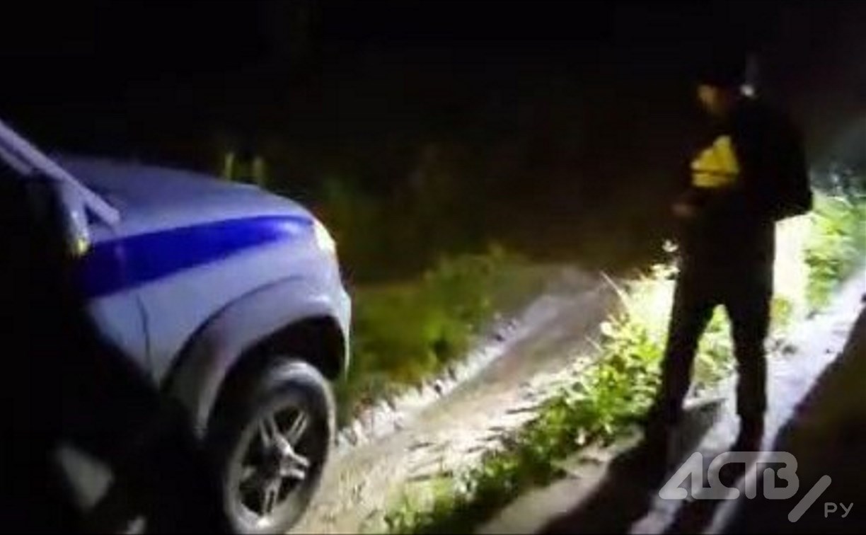 Появилось видео с поисков прячущегося на дереве от медведя сахалинца