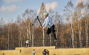 Общество
