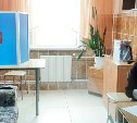 На Сахалине и Курилах стартовало досрочное голосование на выборах депутатов Государственной Думы