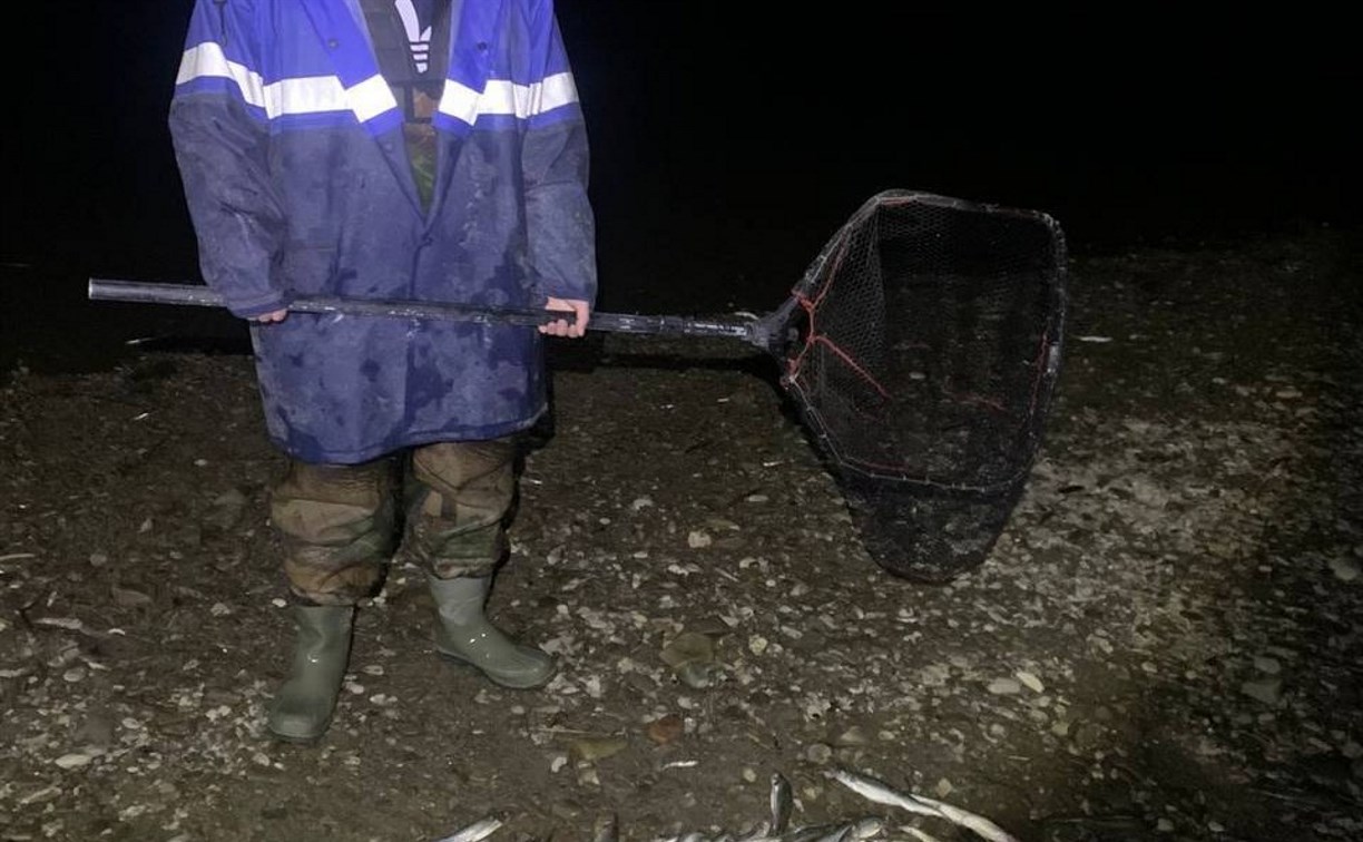 Двух мужчин с сачками поймали ночью у берегов Лютоги