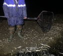 Двух мужчин с сачками поймали ночью у берегов Лютоги