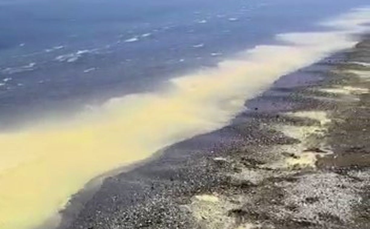 Учёные высказали предположение, почему море пожелтело у берегов Сахалина