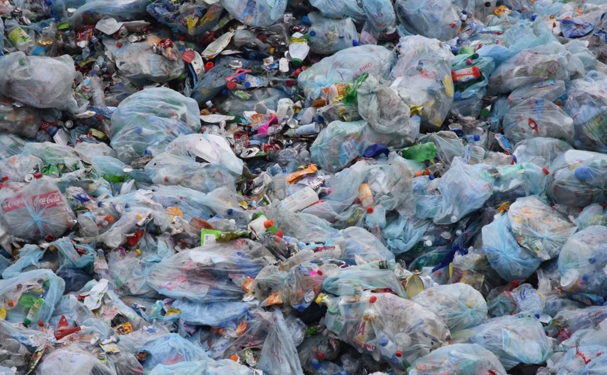 Вывоз мусора приостановили на Сахалине из-за метели: жителей просят по возможности не выносить отходы