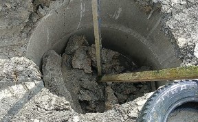 Общество