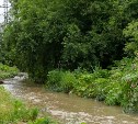 В Южно-Сахалинске приведут в порядок участок вдоль ручья Пригородного