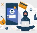 Новые способы мошенничества распространяются в Сахалинской области под видом услуг энергетиков