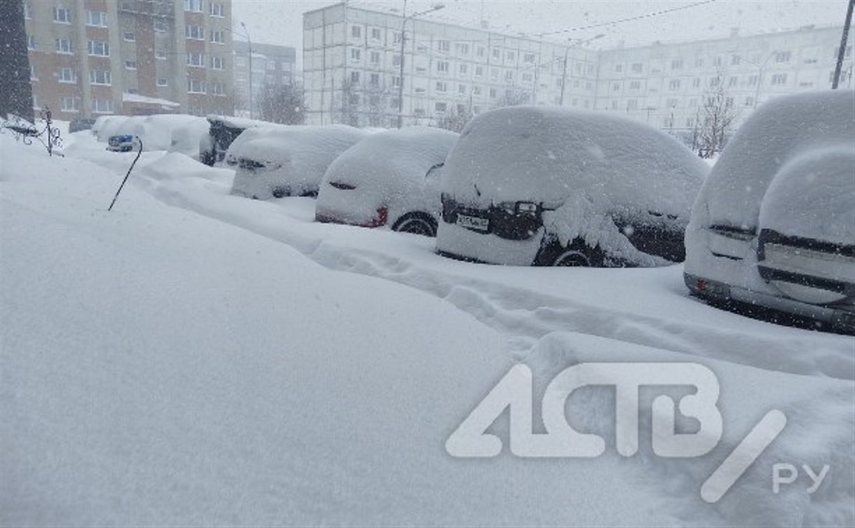 Метель обрушится на несколько районов Сахалина
