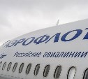 «Аэрофлот» будет летать из Москвы на Сахалин один раз в день