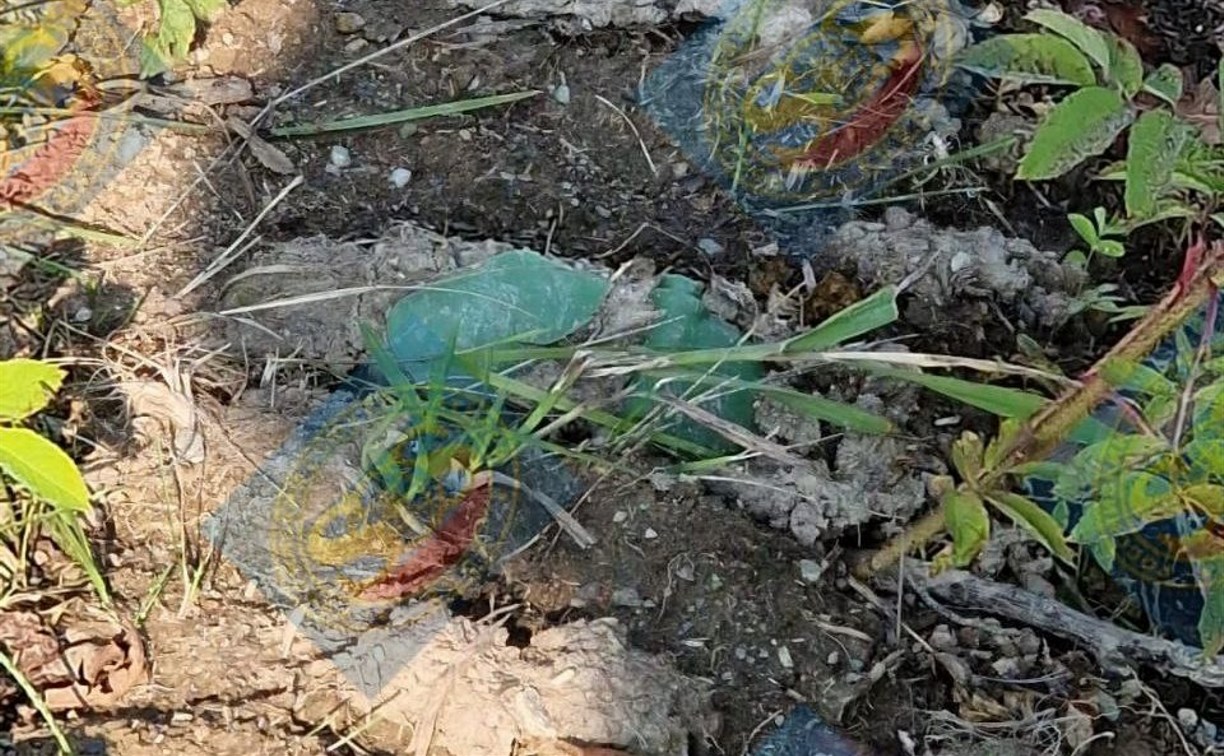 В планировочном районе Южно-Сахалинска обнаружили предмет, похожий на мину "лепесток"