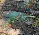 В планировочном районе Южно-Сахалинска обнаружили предмет, похожий на мину "лепесток"