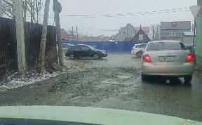 Общество