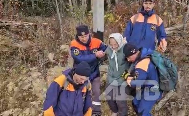 Пропавшую в лесу на юге Сахалина пенсионерку нашли живой