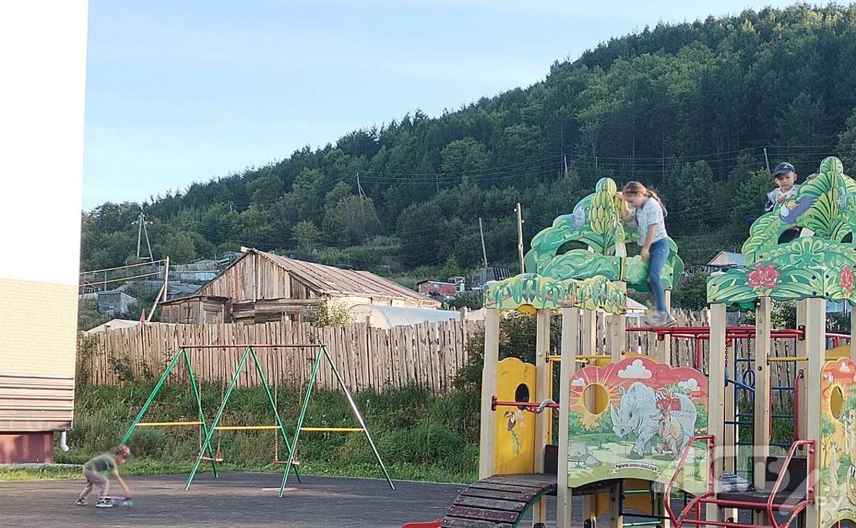 "Опасности для детей нет": в Углегорске отловили агрессивную стаю собак и проверили дворы