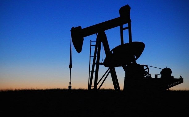 Эксперт: Япония готова отказаться от российской нефти, но боится отлучения от сахалинского газа