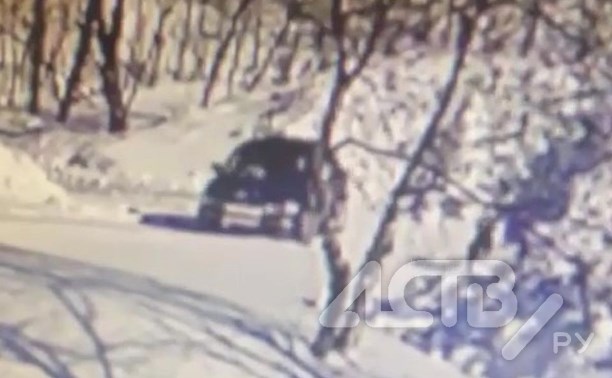 Вышвыривающие щенков из автомобиля сахалинцы попали на видео