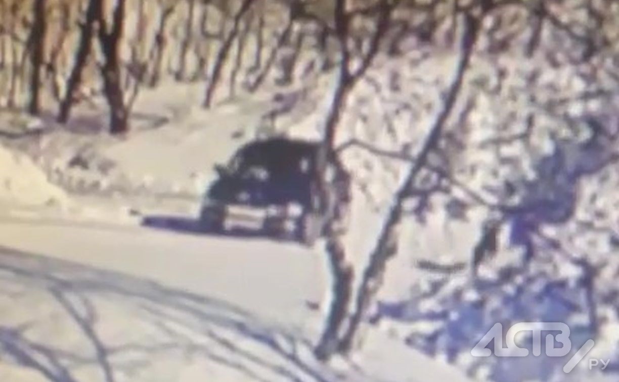 Вышвыривающие щенков из автомобиля сахалинцы попали на видео