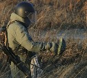 Военные полигоны на Сахалине и Курилах полностью очистили от неразорвавшихся боеприпасов