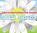Южносахалинцев приглашают принять участие в акции добра и милосердия «Белый цветок» 