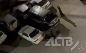 Происшествия