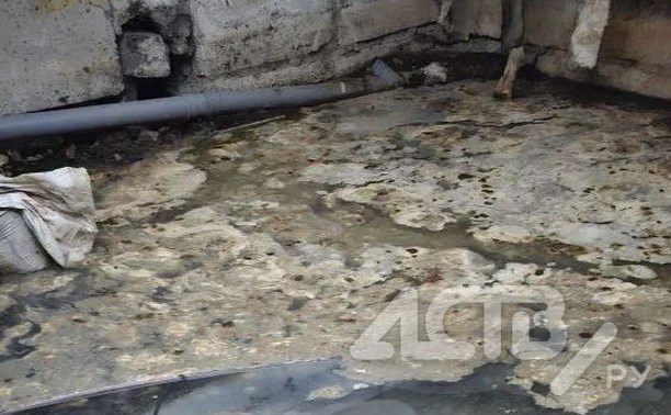 Южносахалинцы показали, как живут в доме с "озером" из фекалий
