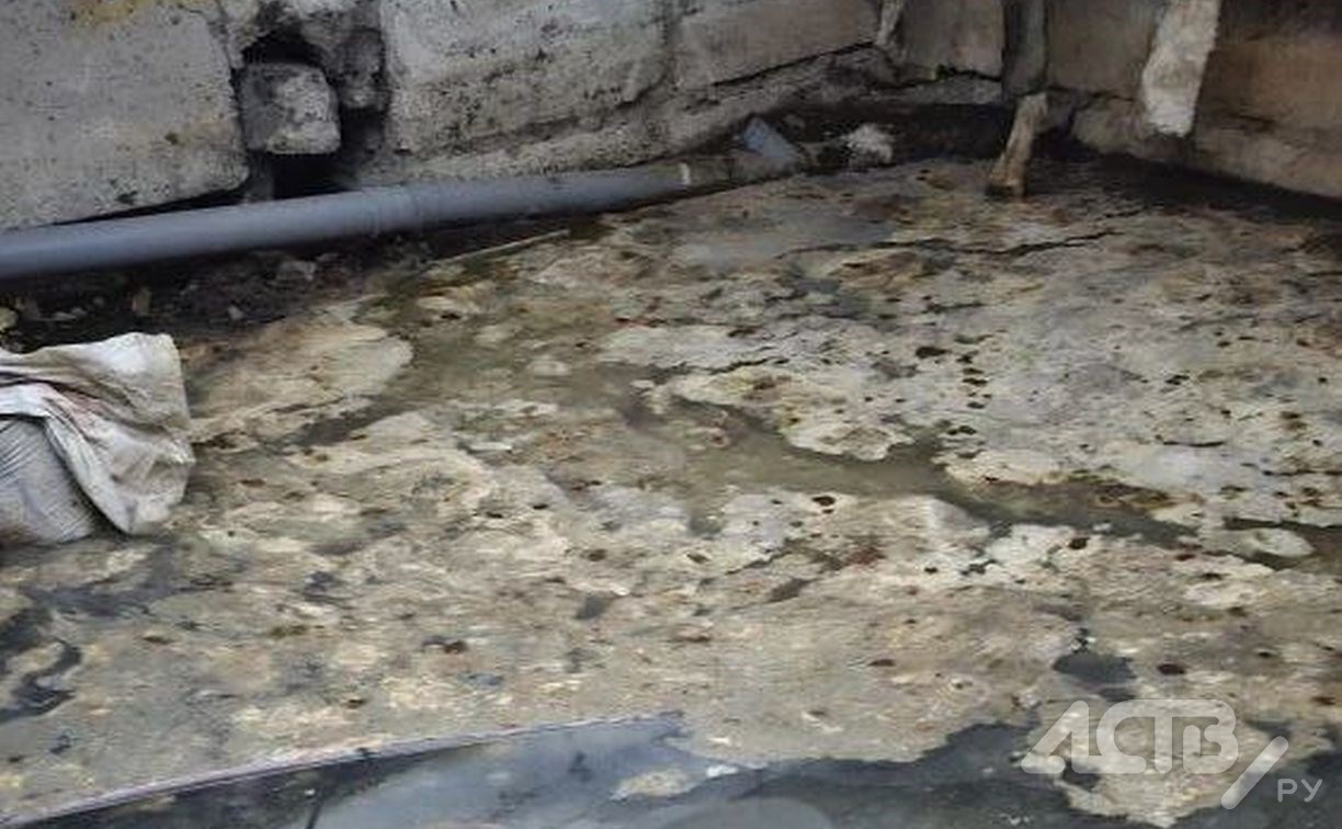 Южносахалинцы показали, как живут в доме с "озером" из фекалий