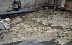 Происшествия