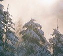 Слабый снег и ветер с порывами до 18 м/с: уточнённый прогноз погоды на юге Сахалина на 3 марта