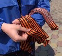 На Сахалине начали раздавать георгиевские ленты