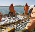 Рабочую группу по проведению Госсовета по развитию рыбной отрасли возглавит врио губернатора Сахалинской области