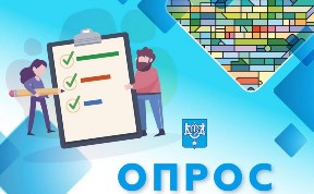 Общество