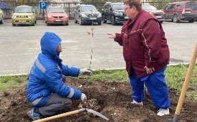 Общество