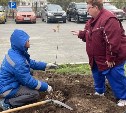 Кленовая аллея украсит Центр скорой помощи в Южно-Сахалинске