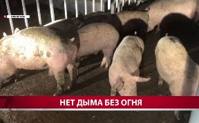 Общество
