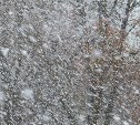 На севере Сахалина сняли ограничения движения автобусов